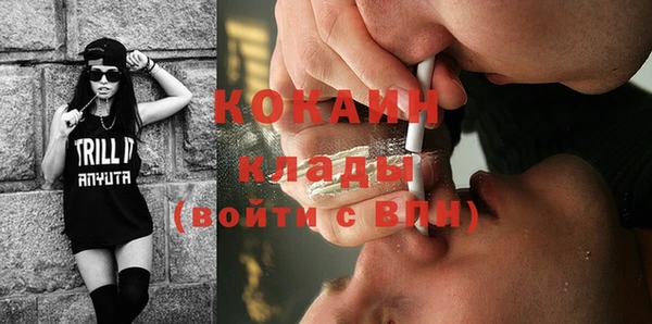 гидропоника Богданович