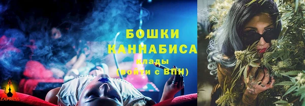 гидропоника Богданович
